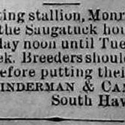 cr1886060401 trottng sale.jpg