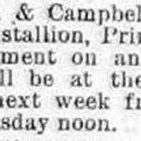          cr1887042201 horse.jpg; Linderman & Campbell, owners of the famous stallion Prince L.
   