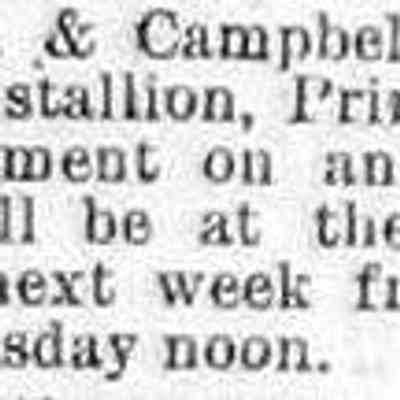 cr1887042201 horse.jpg: Linderman & Campbell, owners of the famous stallion Prince L.