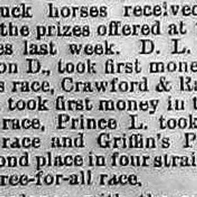 cr1889092701-Saug-horses.jpg