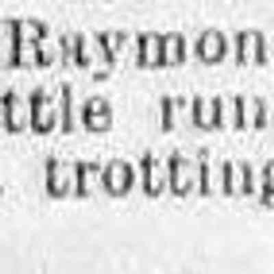 cr1890053001-trotting damage.jpg