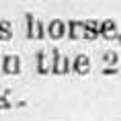 cr1890070401 Griffin-horse.jpg