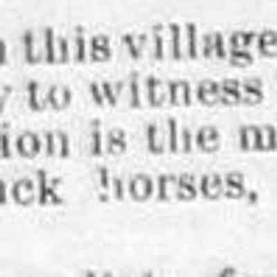 cr1890091901-SaugHorses.jpg