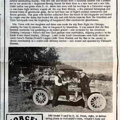 Force family history from Commercial Record 20 Aug. 1970: D. M. Force in reconditioned "Democrat" wagon
...
We were newcomers then from the depression-stricken city of Elgin, Ilinois (the Cleveland panic, it was called) [1893]. Delos Mettier (D. M.) liked what he saw - a busy town and the natural surrounding beauty. This new life and escape from a financial disaster was a pattern set by our ancestors - Huguenots fleeing France for their lives to a new land and a new life.
Little notice was given when D. M. drove into town with his two boys in a Democrat wagon (a one-horse light delivery wagon) all the way from Illinois, a few personal belongings and several boxes of greenhouse glass, for he had been one of Elgin's pioneer nurserymen and flower growers. This glass with lumber collected from the beach of old Singapore and hauled by wagon over the dunes that buried the city and with bricks (rejects) from the Hamilton and Tyler brickyards were the beginning of Saugatuck's first commercial greenhouses.
Mrs. Force with two daughters and three sons made the tip from Elgin via Chicago, crossing the lake by steamer, then to Saugatuck by Interurban. It was natural that the first business enterprise was gardening so on rented ground - now occupied by the American Twisting Company - Force's old Iron Clad gardens were established, shipping produce to the South Water Street Market, Chicago. Later Cedar Knoll Greenhouses were built which became Force's Florists (World's Largest Little Town Florists) and the first in the county to obtain membership in a world-wide delivery service - now owned and operated by Wieland's
Flowers.

1916 Model T used by D. M. Force, right, to deliver spring plants to McDonald's Store, Wirgert's Store and Van Syckle's Store in Douglas. At left is Alvin Reed, then owner of Belvedere Farm.
