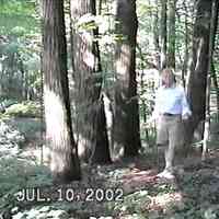 Pier Cove Ravine tour