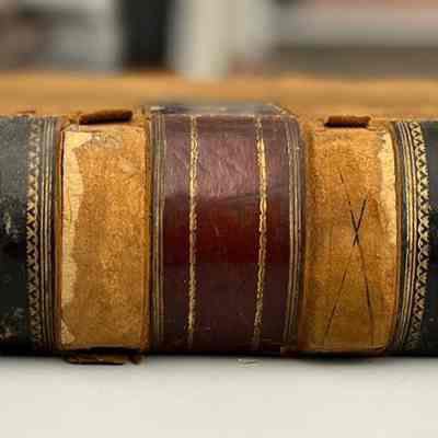 Record of Proceedings, Village of Douglas