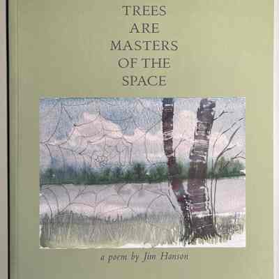 Trees Are Masters of the Space