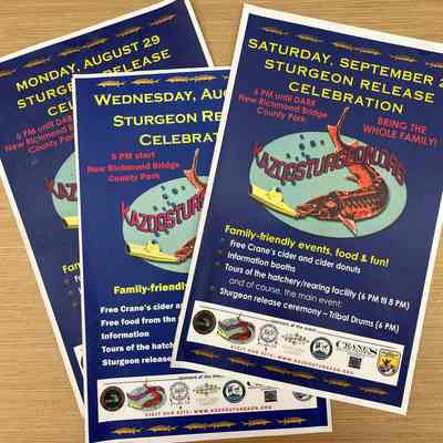 Three different 11x17" sturgeon release celebrations posters. One is marked 2016 on the back.: Poster by Bruce Cutean