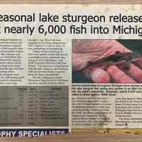 Kalamazoo Sturgeon restoration