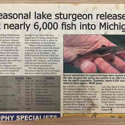 Kalamazoo Sturgeon restoration