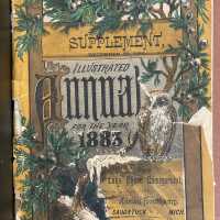 Annual supplement 1883