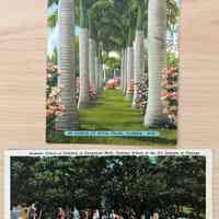 Postcards from May Heath