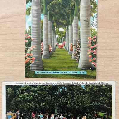 Postcards from May Heath