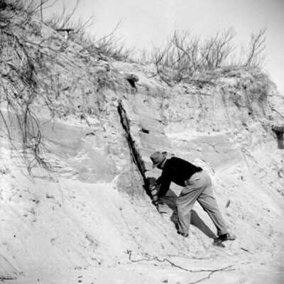Oval Beach erosion 1952