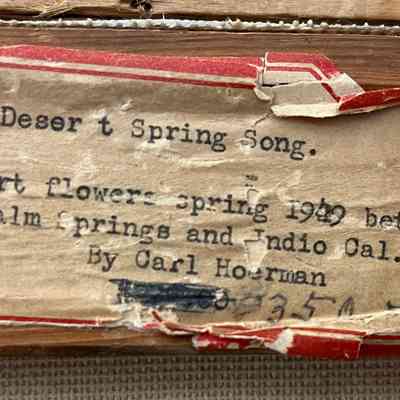 Desert Spring Song: Desert flowers spring 1949 [or 1929] between Palm Springs and Indio California by Carl Hoerman $350.00