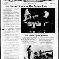          Jazz Sign from the Blue Tempo Bar picture number 6
   