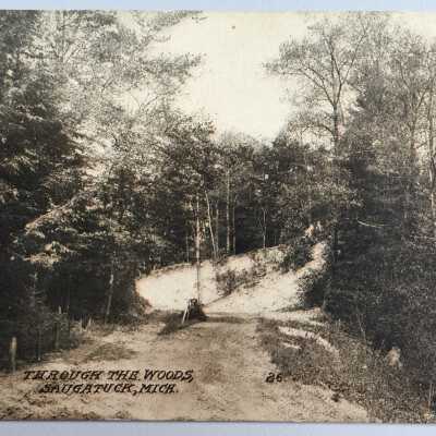 26 Through the Woods, Saugatuck, Mich.": Postmarked Aug. 13, 1909 to 414 Humboldt Ave. Chicago