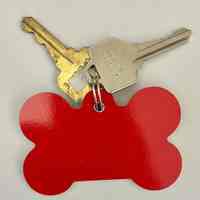          Red Dog Key Fob picture number 2
   