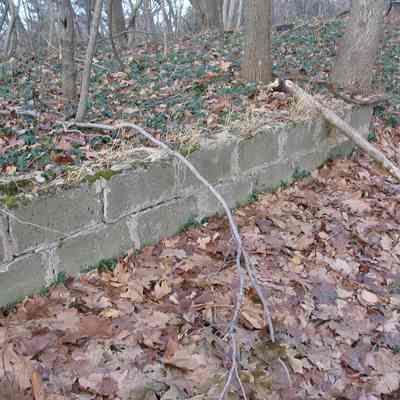 Avalon foundation north side.jpg 1.9MB: 2006