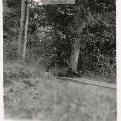Browning path.jpg 641KB