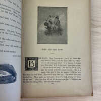          Oliver Optic's New Story Book picture number 2
   