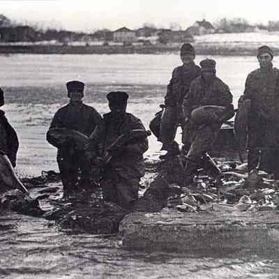 96-105-35_Carp_Fishing_Douglas.jpg 1.7MB: see box 31, envelope 96-105-35 - note with photo says on far left: Bill Heuer, on far right: Will Roda (game warden) about 1914. 96-105-35