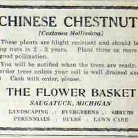          cr1948030507ChineseChestnut.jpg 89KB
   