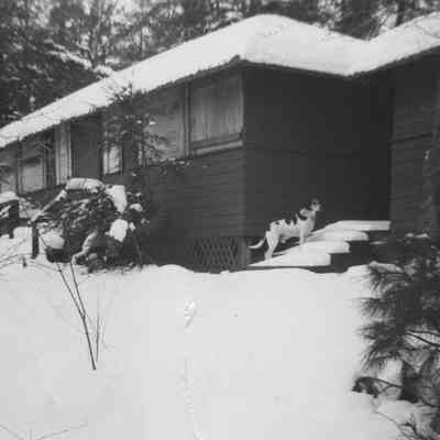tallamadgesnow.jpg 1.1MB: Tallmadge Cottage