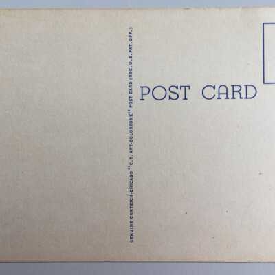 6A-H254 Back