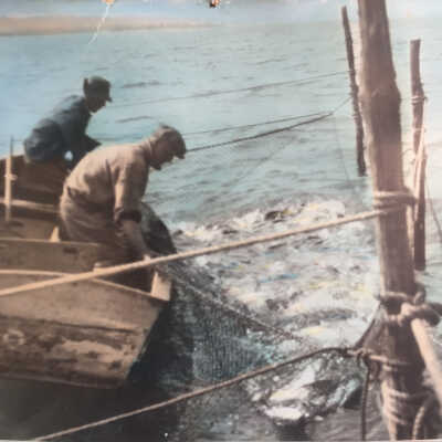 Pound Netting