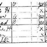          24KB; Gerrit John, the last of Hendrik's sons to be born in the Netherlands (on October 19, 1845) was a farmer in Fillmore Township and had four children who grew to maturity: daughters, Dienna and Gertie (or Kate) and sons Hiram (or Harm) H., born in 1872, and Herman, born in 1876.

Hiram H. was married in 1901 to Jennie Deters, whose ancestors came from Lingen, Germany, near the Dutch border. They had two children who grew to maturity, Gerrit John, born in 1908, and Goldie Sarah, born in 1924.
   