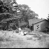          291 0/1	Ox-Bow - Scenes	8/12/1945	Studio and students
   