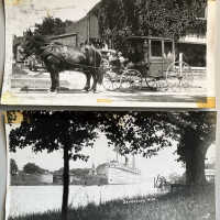 Horse-drawn carriage and South American