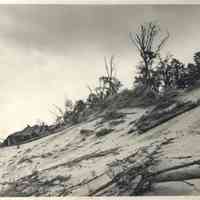          056_dunes_CrowsNest cottage.jpg 1.4MB
   