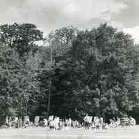          class075.jpg 3.8MB; on the meadow
   