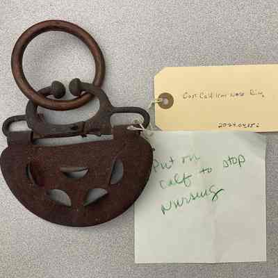 2024.04.35 i: Includes note "Put on calf to stop nursing." 
The device was hung from the calf's nasal septum. If the calf attempted to nurse, the tabs on the pendant annoyed the mother cow so she would not allow the calf access to her milk. This forced the calf to eat grass and, it was believed, be less attached to its mother.