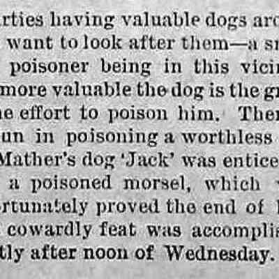 cr1882112401DrMatherDogPoisoned.jpg 29KB