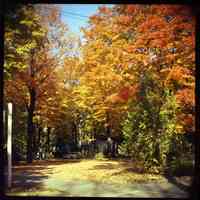 Autumn colors