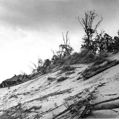 Crow's Nest cottage and dune