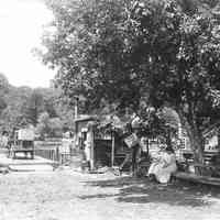          Ferry___women_ca_1910_tu.jpg 2MB
   