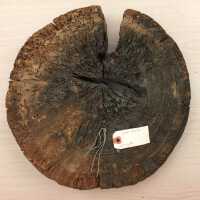 Log dollar stamped TD and R