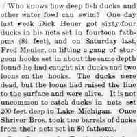          cr1898042901HowDeepCanDucksSwim.jpg; Dick Heuer, Fred Menier by-catch of deep diving ducks and loons
   