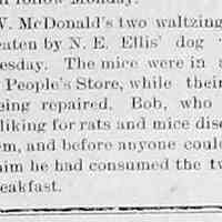          cr1903081405McDonaldsWaltzingMiceEaten.jpg; L.W. McDonald's waltzing mice eaten by N.E. Ellis' dog 