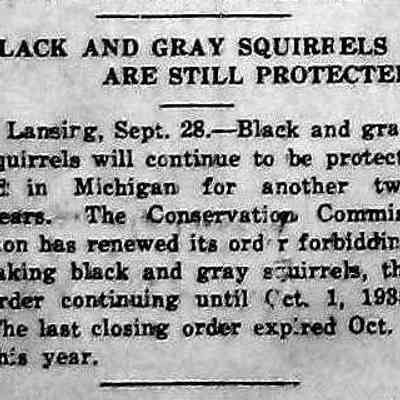 cr1933092901BlackGreySquirrelsProtected.jpg: Black and gray squirrels protected until 1935