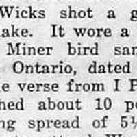          cr1945120708FrankWicksShootsBirdFromMinerSanctuary.jpg; Jack Miner bird sanctuary goose from Kingsville Ontario shot by Frank Wicks at Hutchins Lake
   