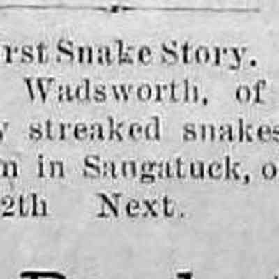 cr188404180130StreakedSnakesKilledinGanges.jpg: Alson G. Wadsworth of Ganges killed 30 streaked snakes, likely ribbon or garter snakes