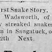          cr188404180130StreakedSnakesKilledinGanges.jpg; Alson G. Wadsworth of Ganges killed 30 streaked snakes, likely ribbon or garter snakes
   