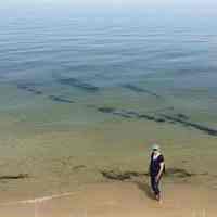          https://www.shorelinemedia.net/ludington_daily_news/news/local/article_0ee0cc68-360a-11e5-9204-2f923906af9f.html?mode=image&photo=0; Chris Newsome courtesy photo
Shipwreck found in Lake Michigan off the Nordhouse Dunes
Jul 30, 2015 Updated Jul 30, 2015 
Update:

After seeing a photo of a sunken shipwreck in shallow Lake Michigan water off the shoreline at Nordhouse Dunes, Michigan Department of Natural Resources Maritime Archeologist Wayne Lusardi said it may be the remains of the schooner George F. Foster, which was wrecked in October 1872.

“Although the identity of the wreck is inconclusive, it may prove to be the schooner George F. Foster, built at Newark (now Saugatuck), Michigan in 1852 by Jacob Randall,” Lusardi continued. “Foster was 93.6 feet long, 21.5 feet abeam, and measured 123 tons. Bound from Grand Haven to Chicago with a load of lumber, the schooner was blown off course by an autumn gale and wrecked in October 1872. The Foster’s class, dimensions, and location correspond favorably with the archaeological remains located near Ludington, though further research is required to make a positive identification.”

He said he visited the site about 10 years ago, when the wreck was partially buried by sand.

Shipwreck found in Lake Michigan off the Nordhouse Dunes

GRANT TWP. — The full outline of a roughly 60-foot-long shipwreck is now showing under a few inches of Lake Michigan water off the shore of the Nordhouse Wilderness Area north of Ludington.

Chris Newhouse of Ann Arbor and his wife, Cathey, found the wreck while hiking about a week ago in the Nordhouse Dunes, about three and a half miles south of the U.S. Forest Service Lake Michigan Recreation Area.

Chris reported it is also about a mile south of the Nurnburg Road parking area.

Wayne Lusardi, maritime archeologist for the Michigan Department of Natural Resources, isn’t sure what boat it is at this time. He said there are probably about 40 shipwrecks off shore near Ludington, including the Lizzie Doak, an 75-foot boat that sunk near the shore on Aug. 30, 1892.

“This year there’s a lot of sand that’s been moving around and a lot of near-shore wrecks are considerably more exposed than they have been in the past,” Lusardi said.

Kenneth Morris, a petty officer 1st class at Manistee’s U.S. Coast Guard station, said the wreck is not on Coast Guard charts.

Read the full story in Wednesday's Ludington Daily News print and eEditions.
   