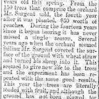          cr1879062701PeterSargentFarm.jpg; sheep and straw beneficial to peach trees
   