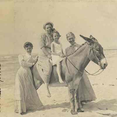 MF-SA-0034.JPG: Dynamite on Oval Beach